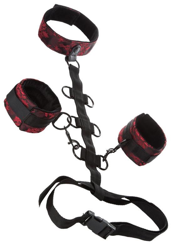 Scandal Collar Body Restraint - joujou.com.au