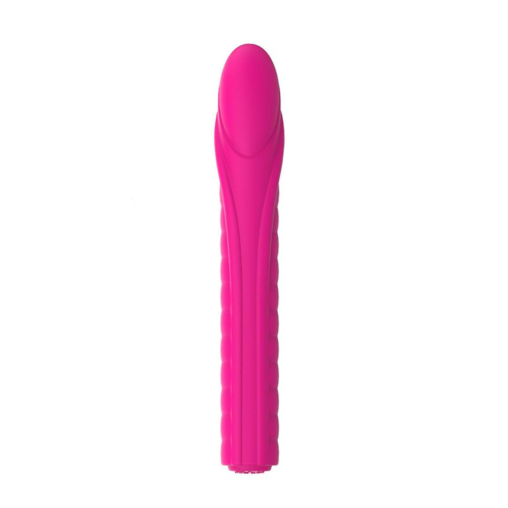 Nalone Dixie 2 Bullet Vibrator - joujou.com.au